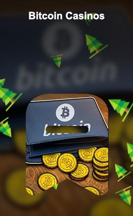 Best bitcoin wallet for ignition casino