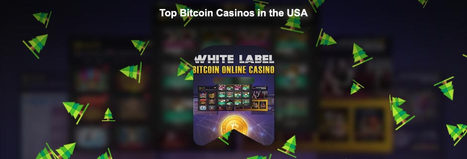 Bitcoin live casino usa