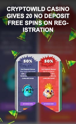 Cryptowild casino no deposit bonus code